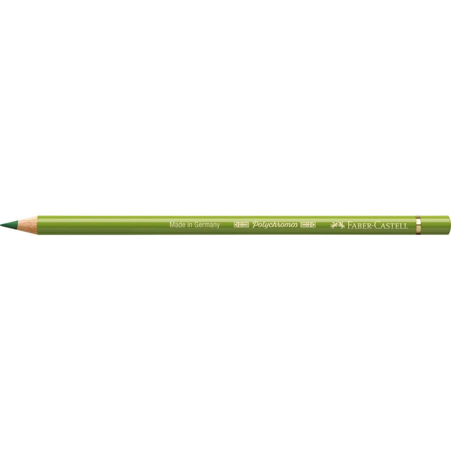 Faber-Castell - Polychromos colour pencil, 168 earth green yellowish